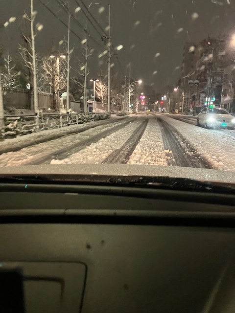 東京の雪２.jpg